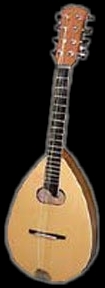 Octave Mandolin